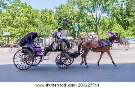 NEW YORK - JUNE 14, 2013: Beautiful horse carriage in Central Park. Horse carriage is one of the favourite way for tourists to visit the park.