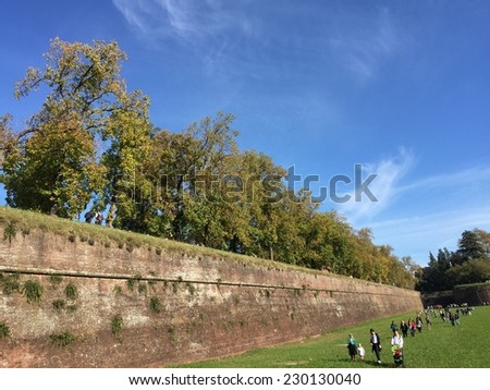 LUCCA - NOVEMBER 1, 2014: Crowd in the city during Lucca Comics festival. The event is the most important festival held in Lucca.