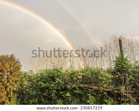 Double rainbow over the home garden.