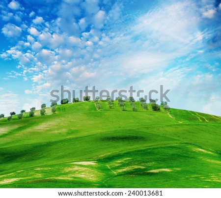 Awesome landscape of Tuscany in Spring. Bright fields colors against sunset sky.