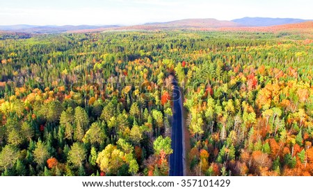 Beautiful colors of New england foliage. Aerial bird eye view.