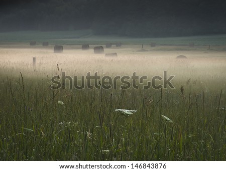 A newly baled hay field is shrouded in low hanging fog.  The fog creates an eerie feeling.