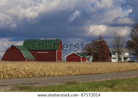 A farm yard and three red barns setting behind a fall colored corn field.