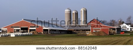 Dairy Farm in central Michigan.  Panorama capture of the farm house, barns and silos.