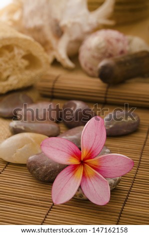 tropical spa setup with traditional frangipani flower and massage items