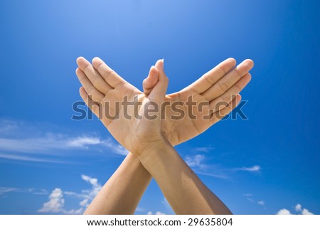 Posted Image