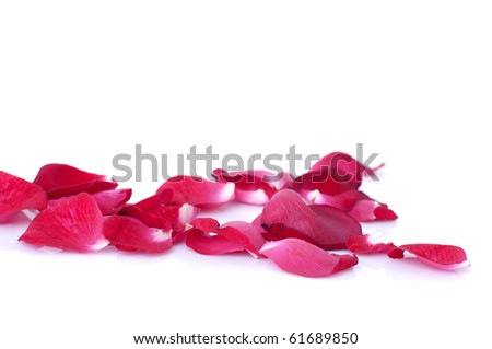 [تم الحل]مسابقة احزر ماذا بداخل الصندوق Stock-photo-close-up-photo-of-rose-petals-with-isolated-white-background-61689850
