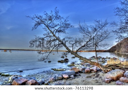 Sea tree