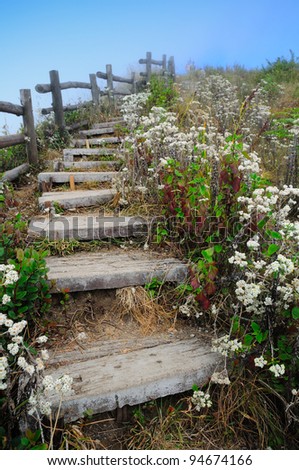 Wood stairway lined with white flowering on a shady garden path in vertical orientation