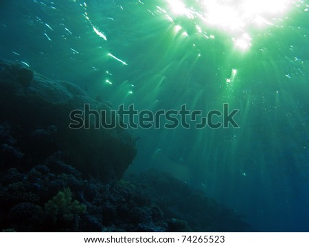 Dappled sun rays on a coral reef scene