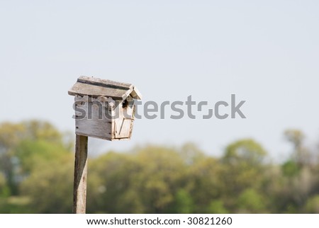 Bird house with background out of focus