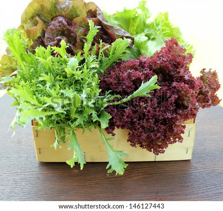 Green and red lettuce in a basket