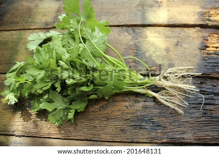 Coriander on a wooden table