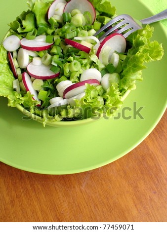 fresh salad with radishes, lettuce and onion