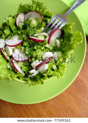 fresh salad with radishes, lettuce and onion