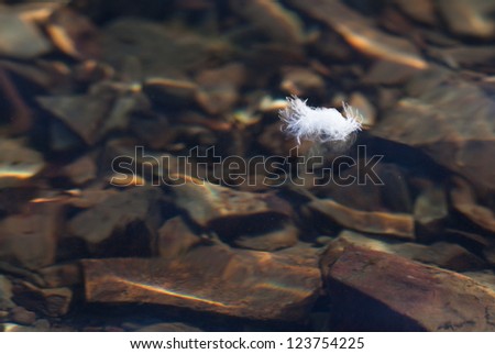 A white fluffy eagle feather floats on a calm surface of a lake with its reflection in the water and the sunshine highlighting the rocky bottom.