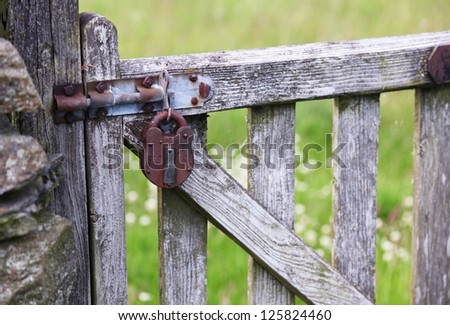 A very old rusty lock hangs on a wooden gate giving the illusion on security.