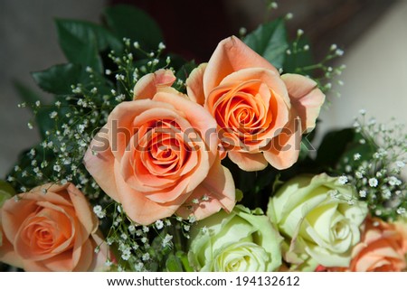Peach colored roses lit by the afternoon sun in a rose bouquet with babies breath.