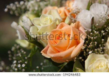 A bouquet of pastel orange and yellow roses with white lacy flowers and babies breath.