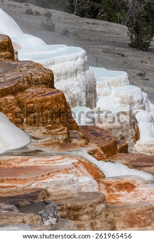 Colorful Mammoth Hot Springs cascading down its self creation of stair stepped pools at Yellowstone National Park.