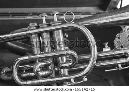 Close Up of a Trumpet in a Case - Sharp Contrast Photo of a Trumpet in a Case