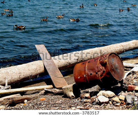 An old rusty 55-gallon drum is knocked over on its side mere inches from the waters of Lake Erie