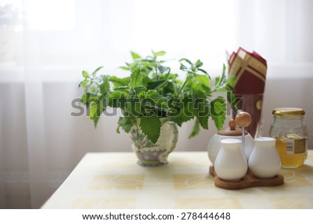 Mint in a circle on the table