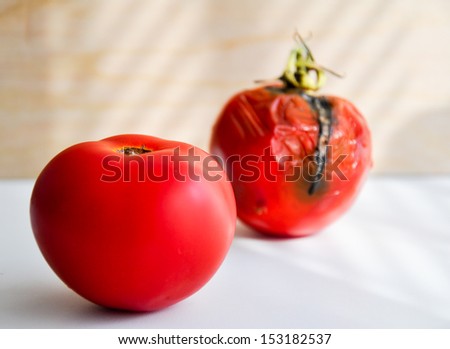 moldy rotten tomatoes