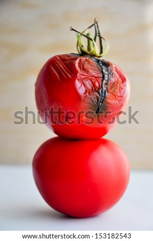 moldy rotten tomatoes