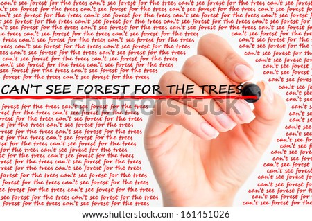 CanÃ¢Â?Â?t see forest for the trees concept