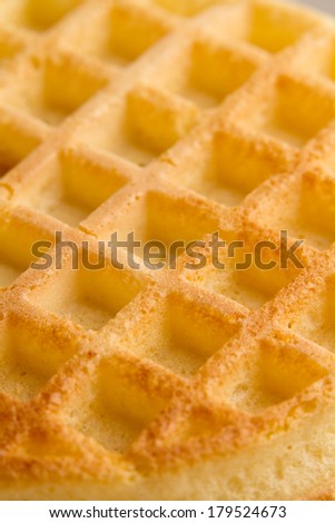 Waffle - This is a shot of a bare waffle. Shot with a shallow depth of field.