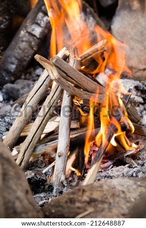 Campfire - This is a shot of a freshly lit campfire.