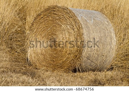 This is a photo of a hay bale rolled up and sitting in a hay field.