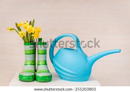 Fresh yellow spring daffodils in green gum boot