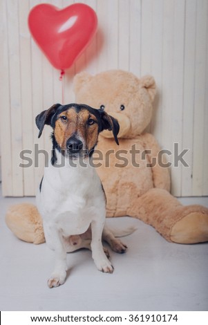 valentine dog with a teddy bear and a red balloon