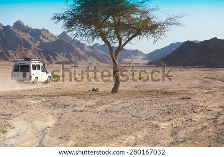 4x4 off-road safari. Egypt. All-terrain vehicle racing Sinai desert