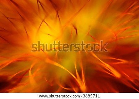 Abstract background - out of focus flower macro