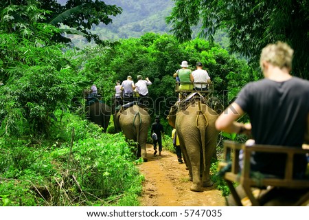 stock photo : Tourist group rides through the jungle on the backs of elephants