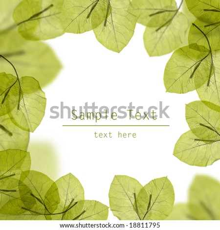 Background on Fresh Green Leaves Border On White Background Stock Photo 18811795