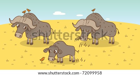 Buffalo Animal Cartoon