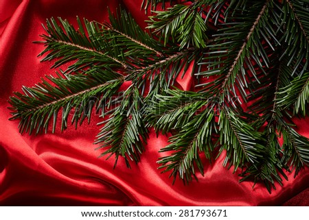 Fir branches on red fabric background