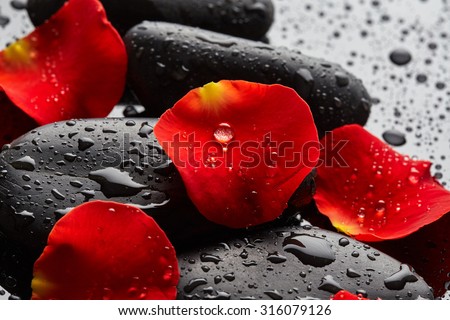 Stones with rose petals and drops of water on black background