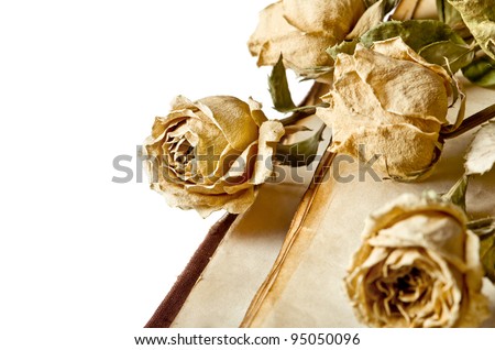 Dry roses and old book on isolated white background