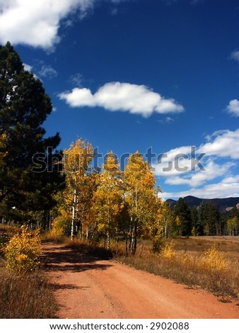 country rural road with autumn gold trees
