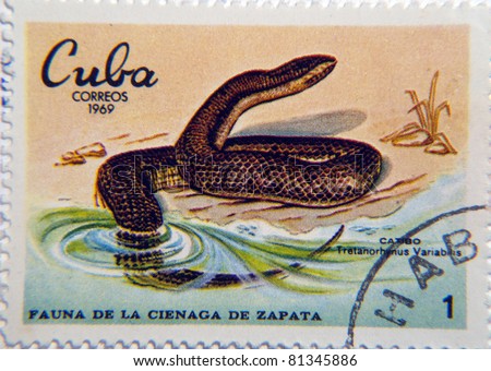 CUBA - CIRCA 1969: A stamp printed by unknown shows  a Caribbean Water Snake Tretanorhinus variabilis circa 1969