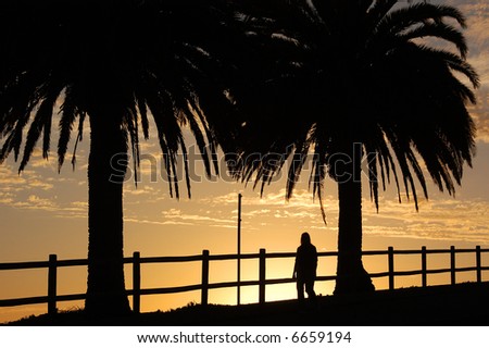 Person Enjoying California Sunset