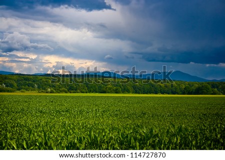 Spring landscape with a sunny weather on the left and rain on the right
