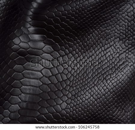 Reptile skin background