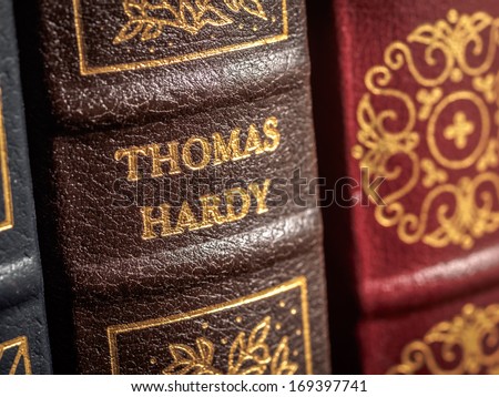 SALMON ARM, CANADA Ã¢Â?Â? DECEMBER 27, 2013: Close up of leather bound book spine showing writer\'s name of Thomas Hardy, an author of many works of fiction