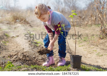 Little girl planting almond tree in a garden